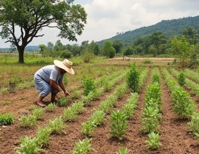 Land-Farming-gbf-img